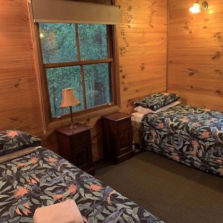 Springbrook Mountain Chalets Dış mekan fotoğraf