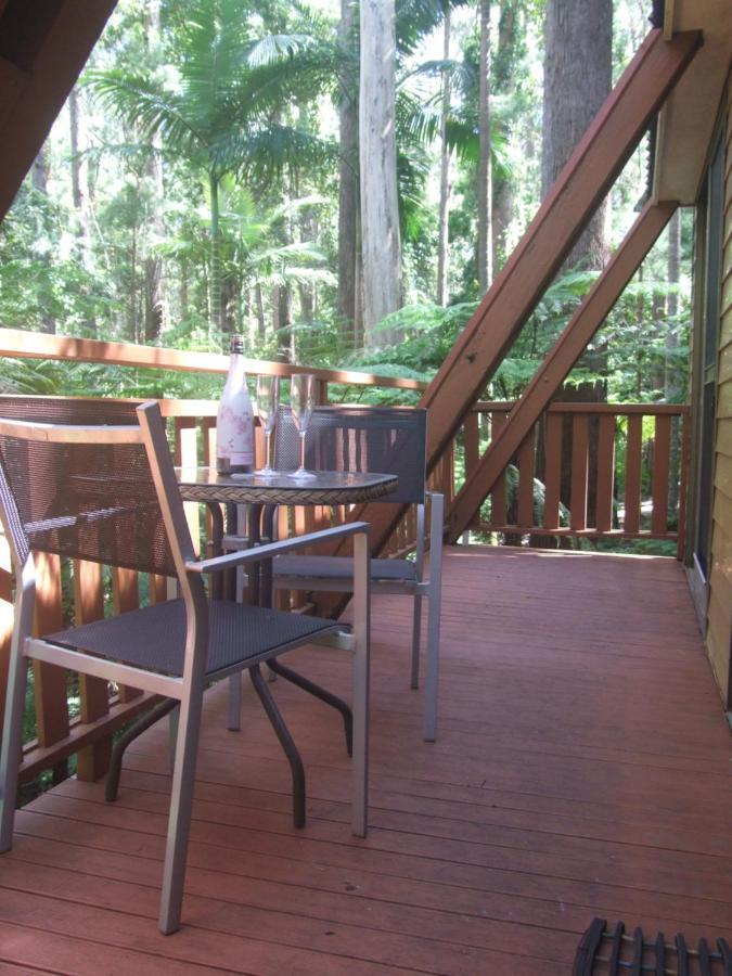 Springbrook Mountain Chalets Dış mekan fotoğraf