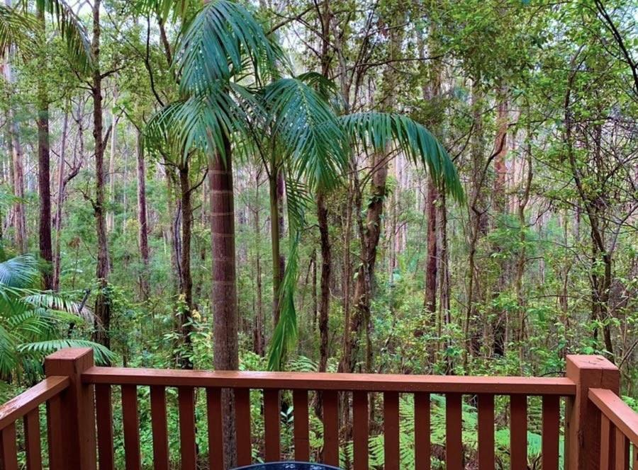 Springbrook Mountain Chalets Dış mekan fotoğraf