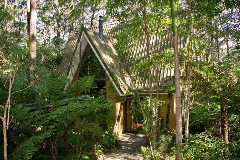 Springbrook Mountain Chalets Oda fotoğraf