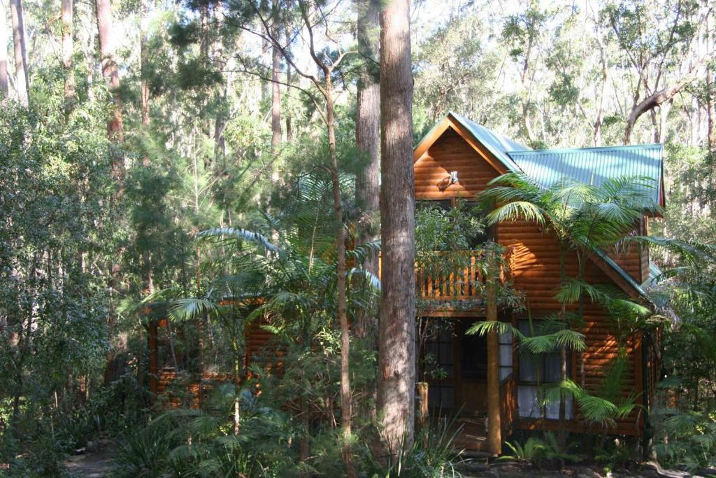 Springbrook Mountain Chalets Oda fotoğraf