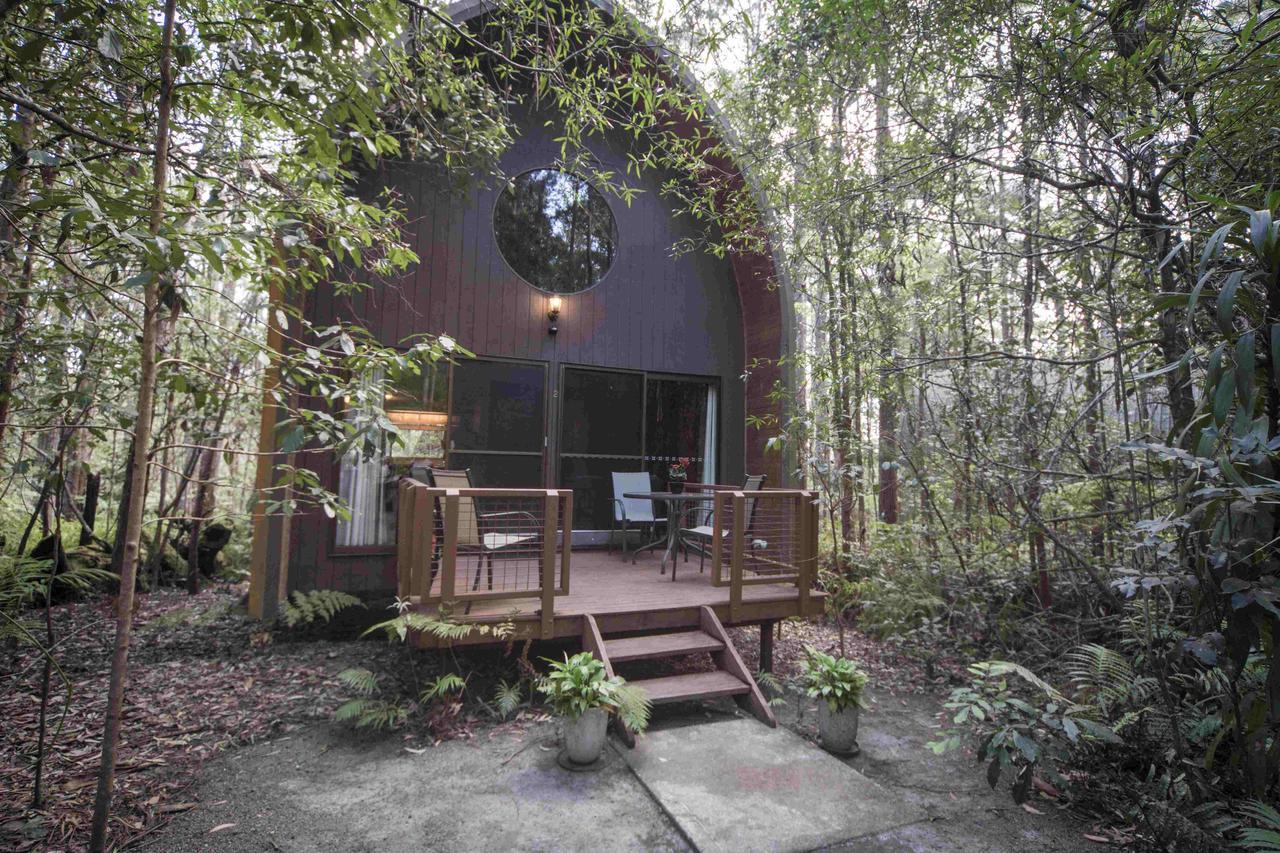 Springbrook Mountain Chalets Oda fotoğraf