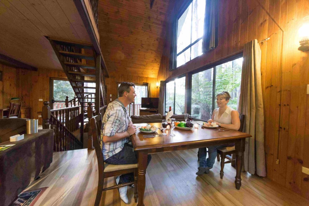 Springbrook Mountain Chalets Dış mekan fotoğraf