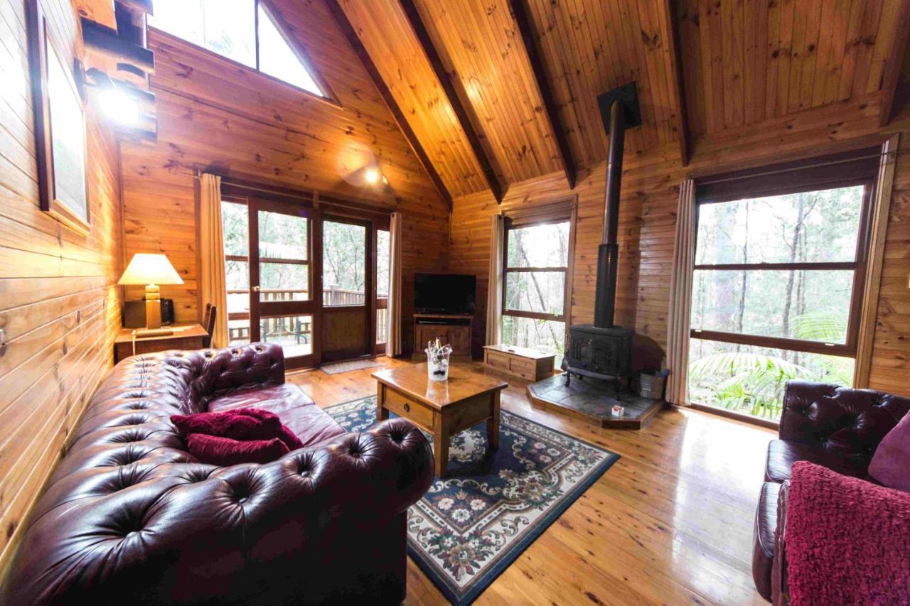 Springbrook Mountain Chalets Dış mekan fotoğraf